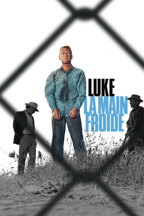 Luke la main froide poster
