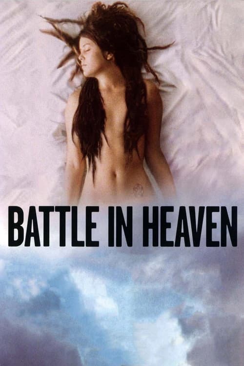 Bataille dans le ciel poster