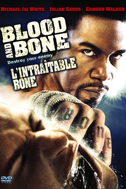 Blood and Bone poster
