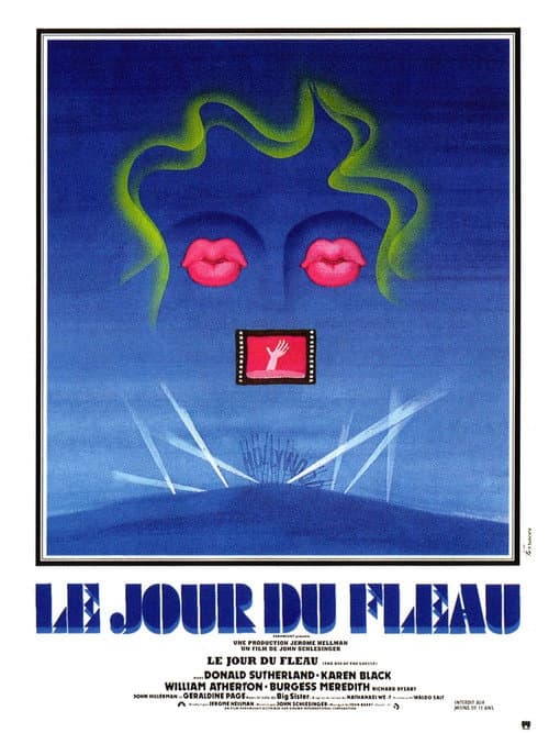 Le Jour du ﬂéau poster