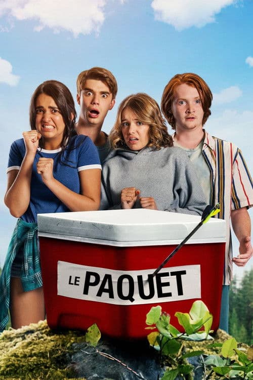 Le Paquet poster