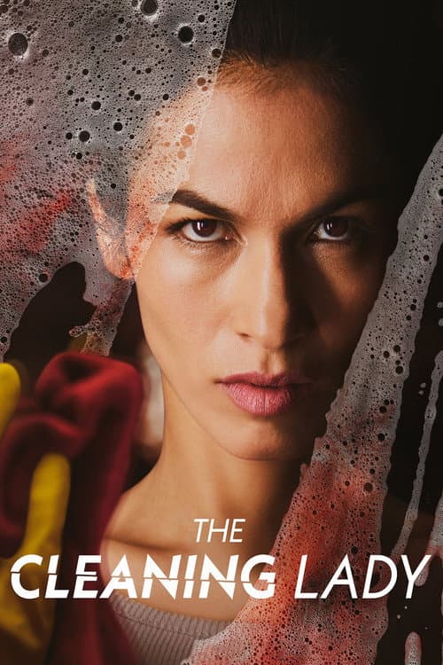 The Cleaning Lady poster