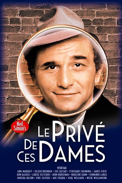 Le Privé de ces dames poster