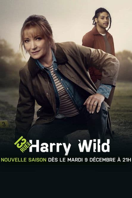 Harry Wild poster