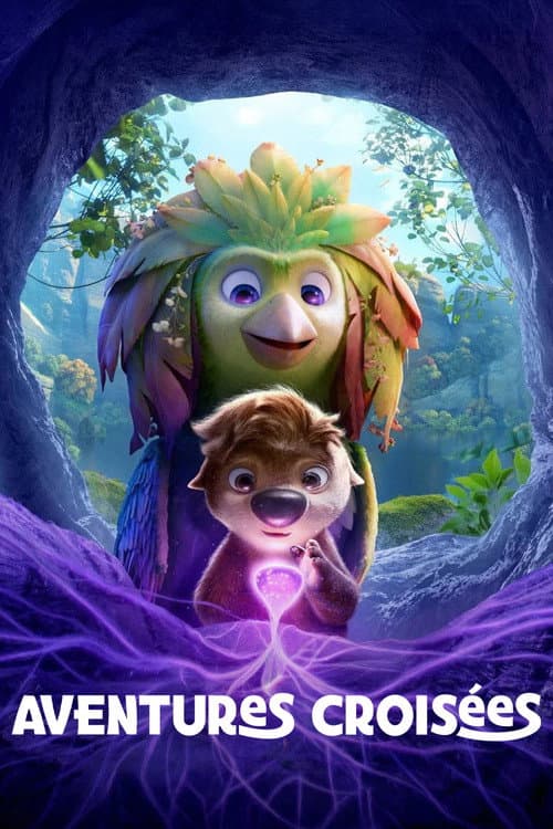 Aventures croisées poster